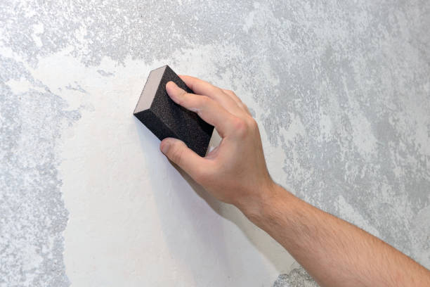 Mold Remediation for Vacation Homes in Deerwood, TX