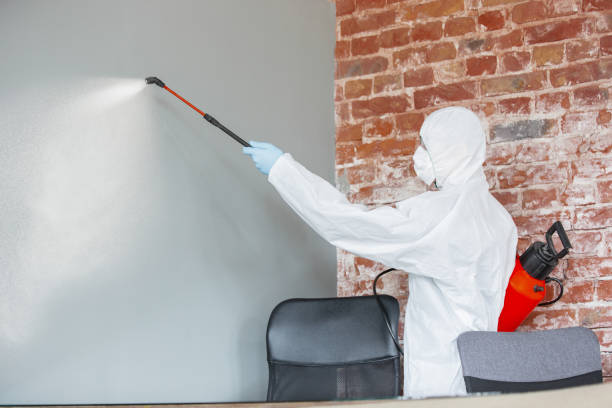 Best Air Quality Testing for Mold Spores  in Deerwood, TX