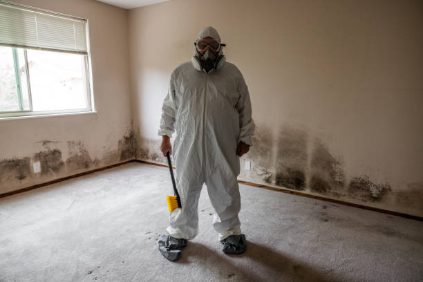 Best Environmental Consulting for Mold Prevention  in Deerwood, TX