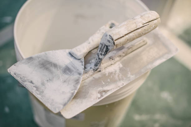 Best Mold Prevention Services  in Deerwood, TX